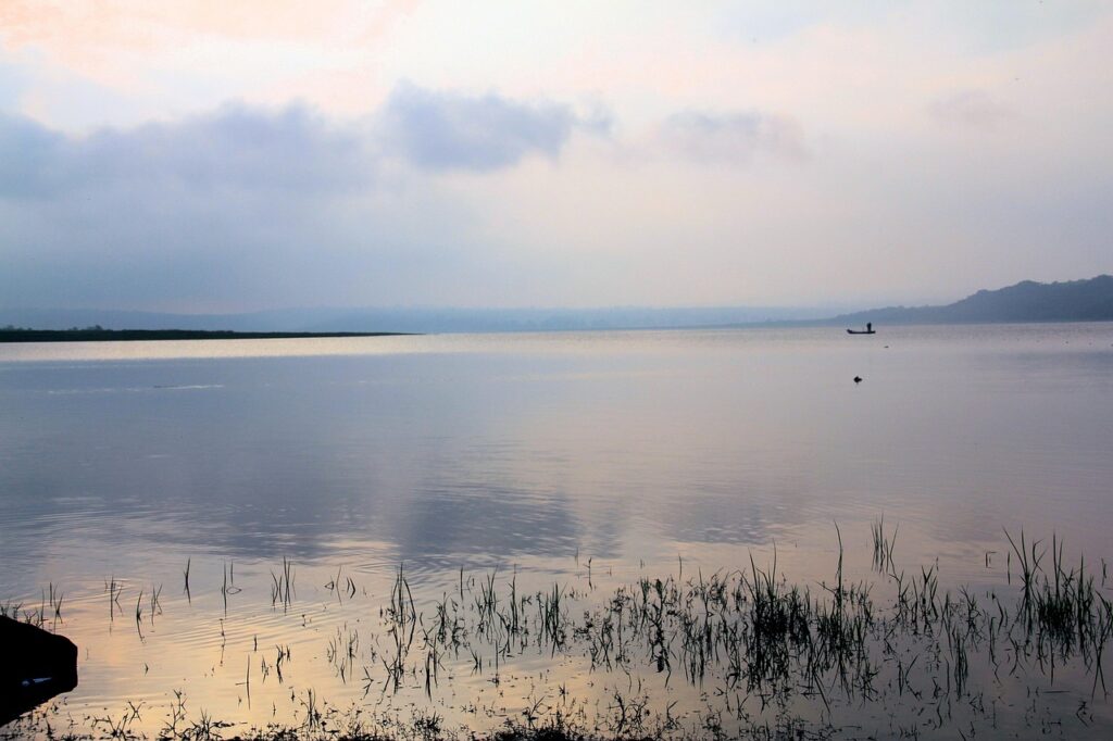 マンジャロの値段は本当に高いのか、その理由とは？