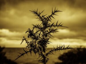 マンジャロの注射は痛いのが怖い？